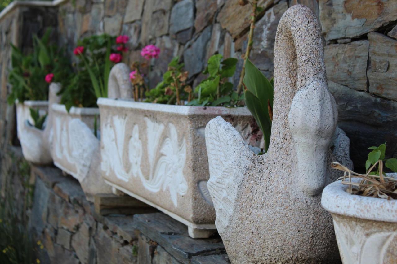 Casa Jose Lourenco Folgosa  Εξωτερικό φωτογραφία